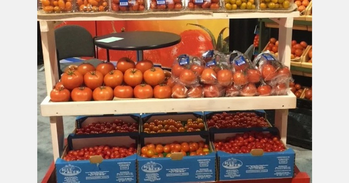 Tomato pricing starting to pick up