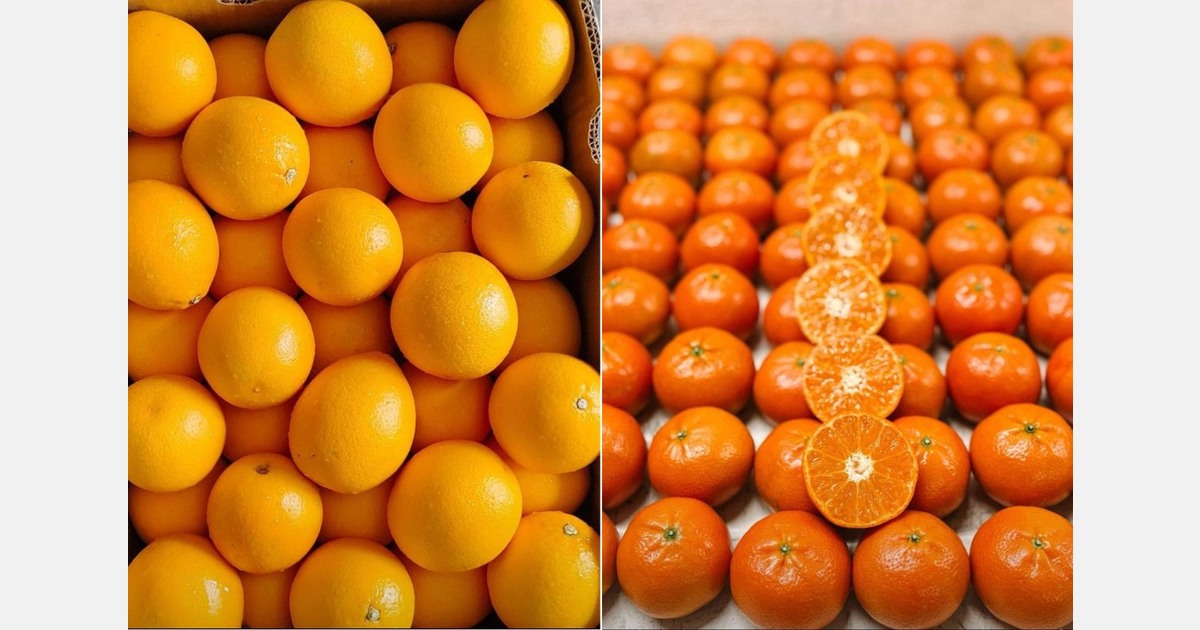 Как сохранить поставки овощей в ОАЭ при конфликте