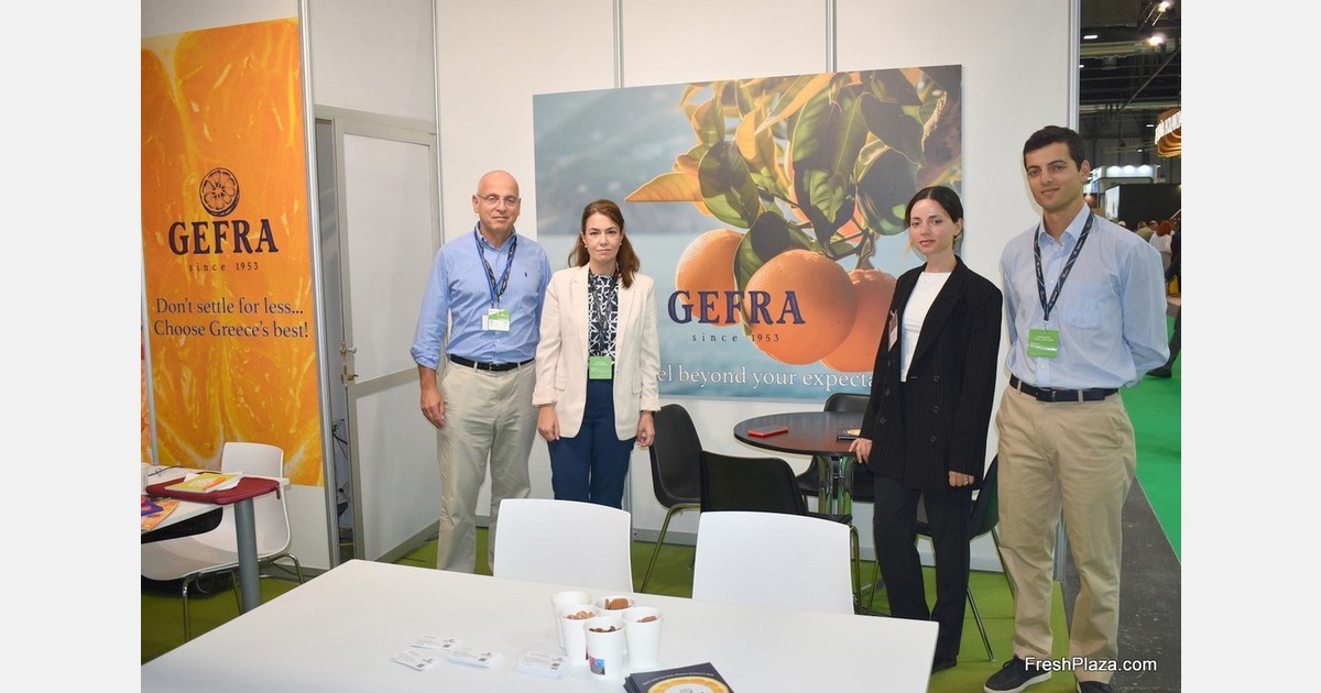 Adverse rains and slow European market make for difficult start to Greek citrus season