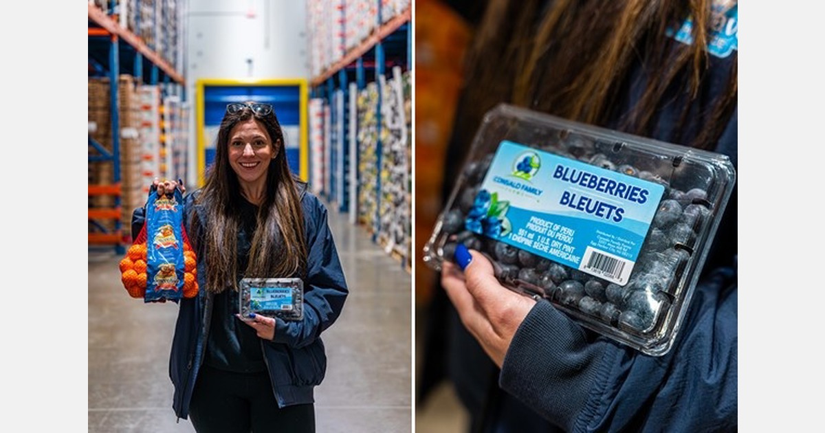 Strong Peruvian blueberry supply pressures pricing and challenges logistics