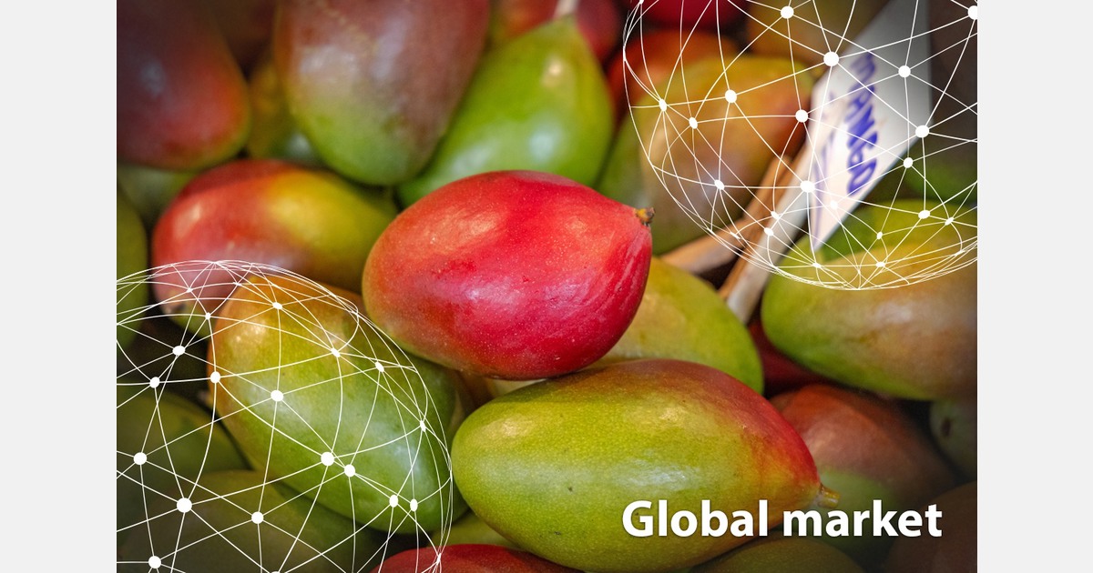 GLOBAL MARKET OVERVIEW MANGOES