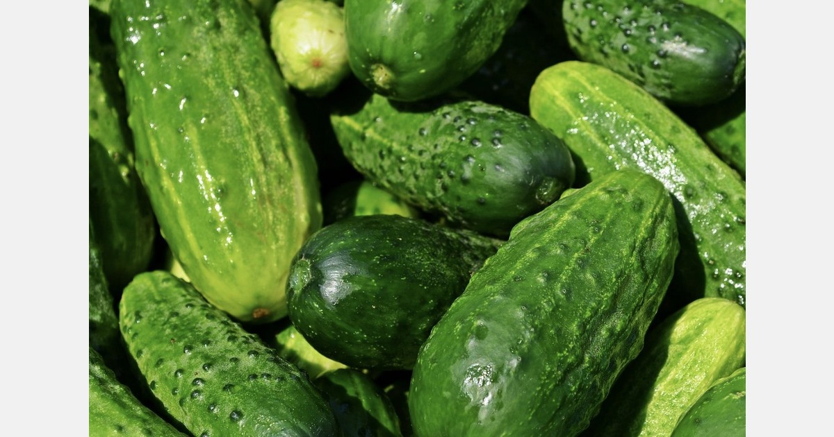 Michigan growers stress value of MSU research collaboration