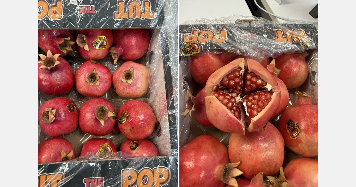 Pomegranates from Egypt are gaining market share in Canada