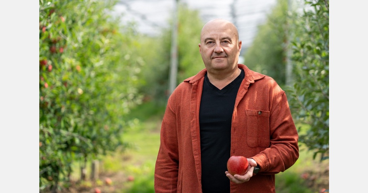 “We saved 70% of the crop, ensuring a production of over 2,000 tons of apples”