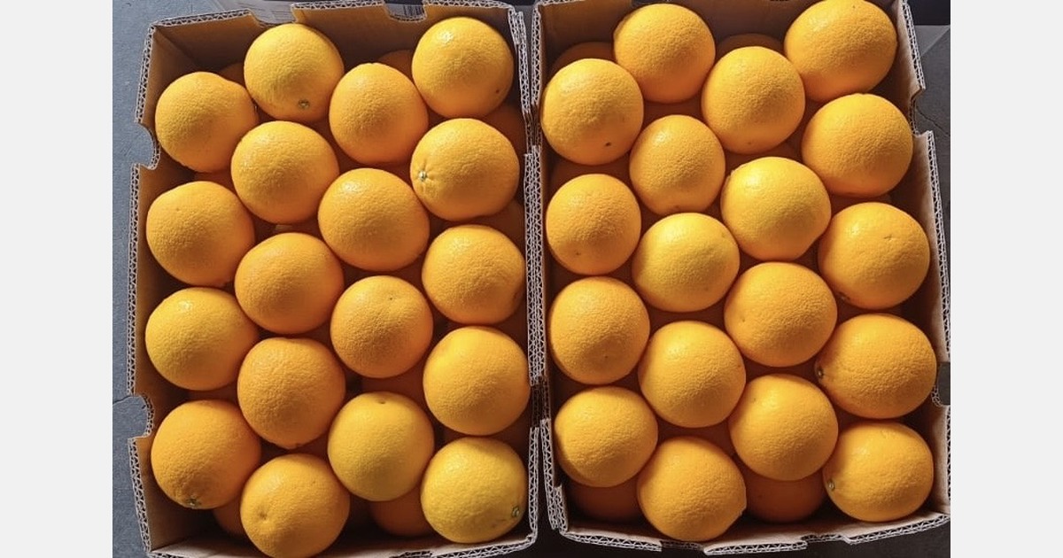 “Our Valencia orange imports faced quality and market setbacks this season”