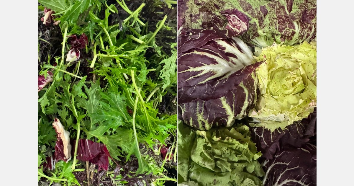 Warmer climate makes it possible to grow specialty vegetables in Ireland