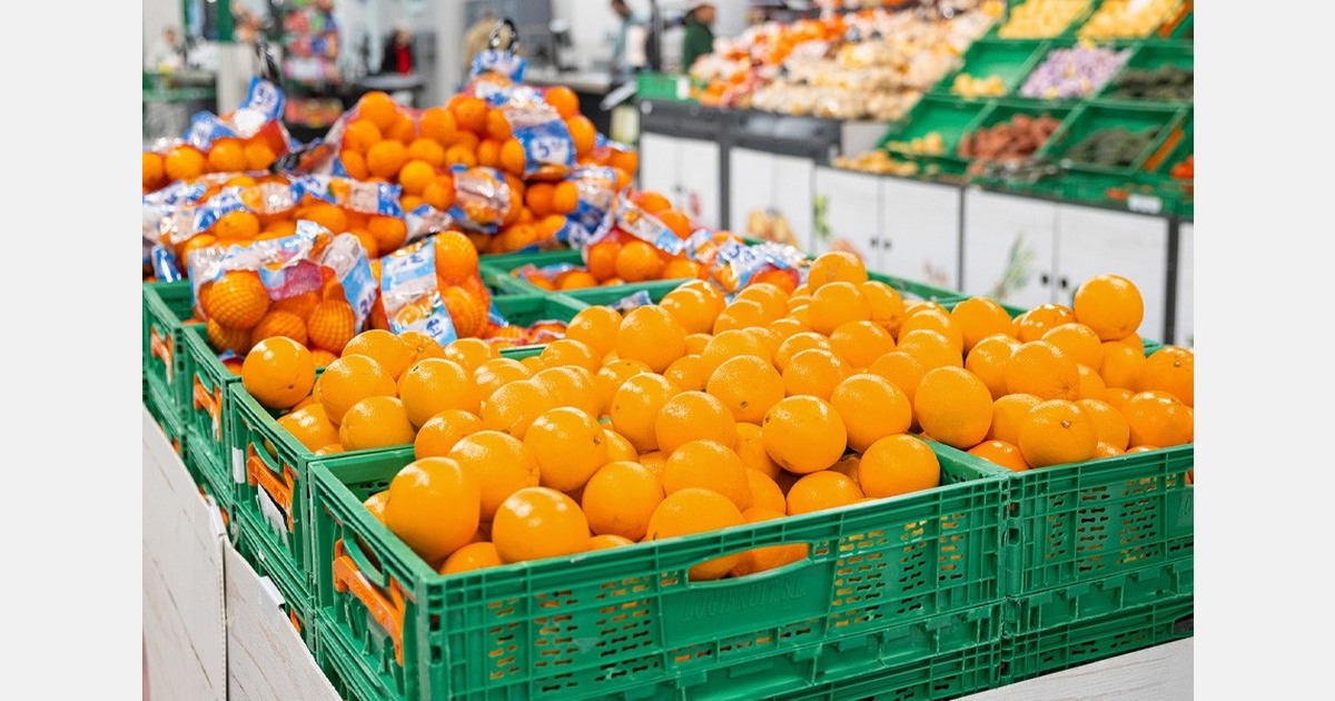 Spanish retailer starts new orange season with national supply
