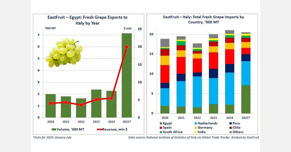 Egypt captures record share of Italy’s grape imports