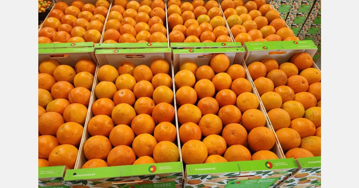Delayed harvest for Portuguese citrus season
