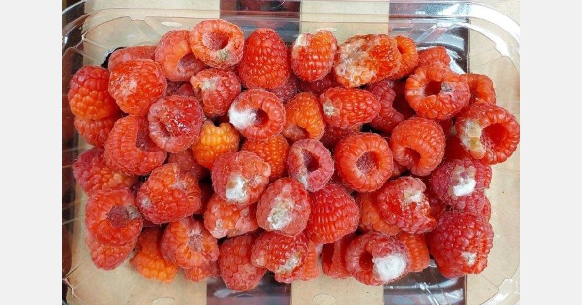 Complaints in Morocco over slow operations at the port of Algeciras