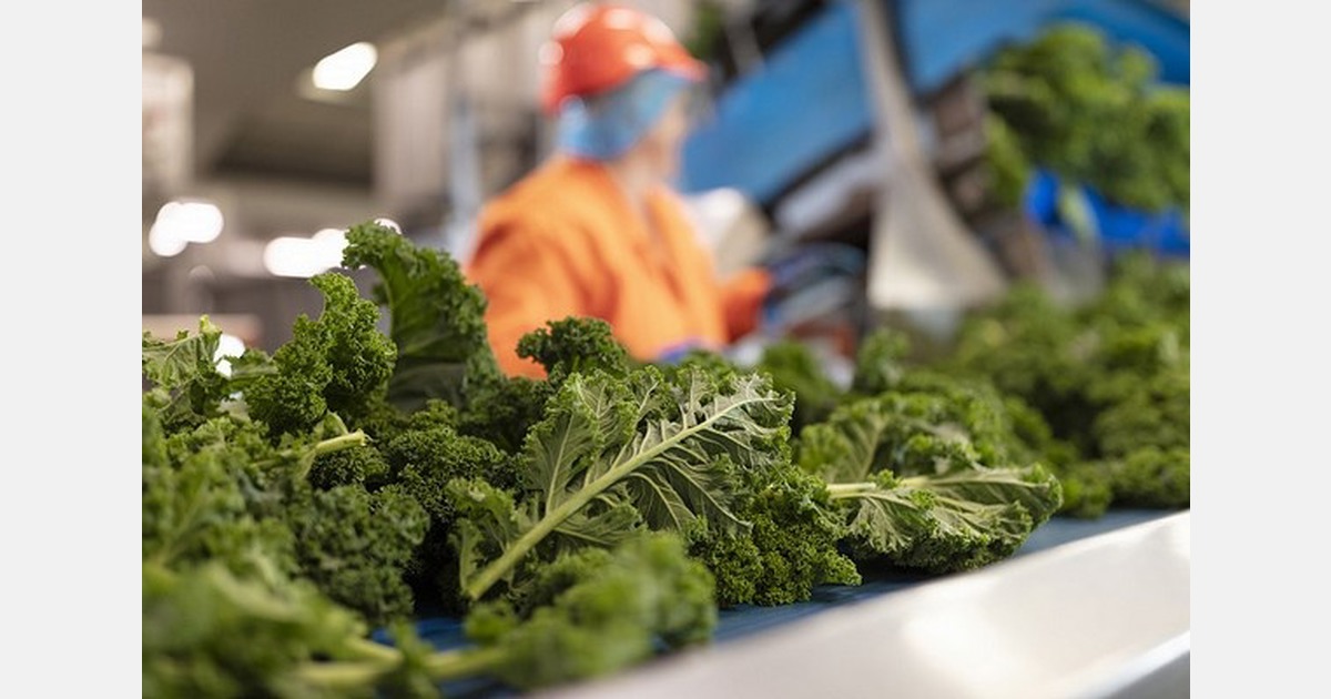 UK vegetable supplier forms new produce and energy partnership