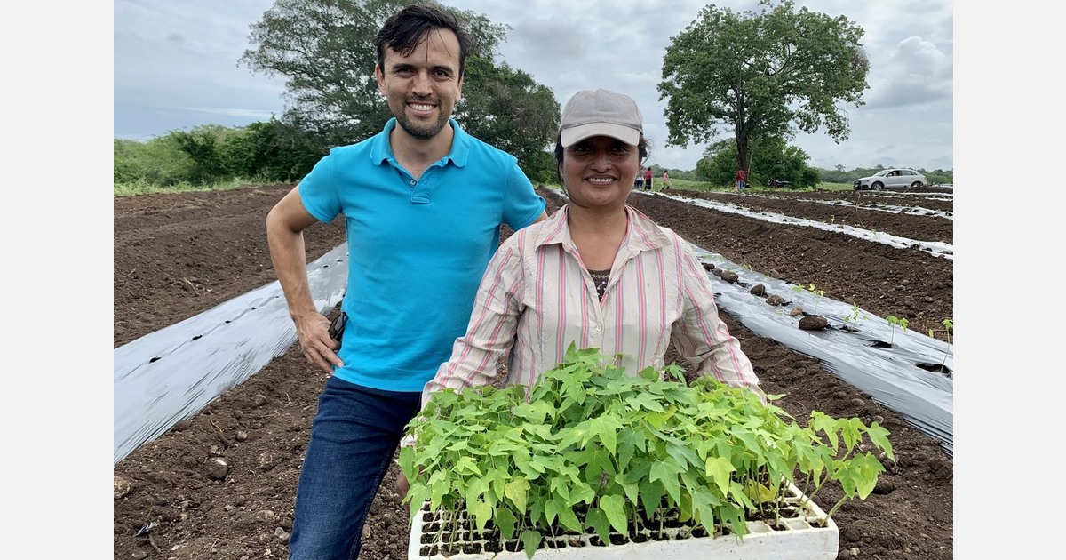 Removal of tariffs on tropical fruits is a relief but not for Brazil