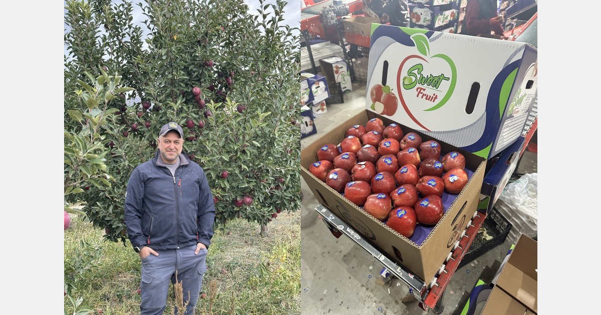 "Currently no government export ban, Turkish apples are just subject to export registration"