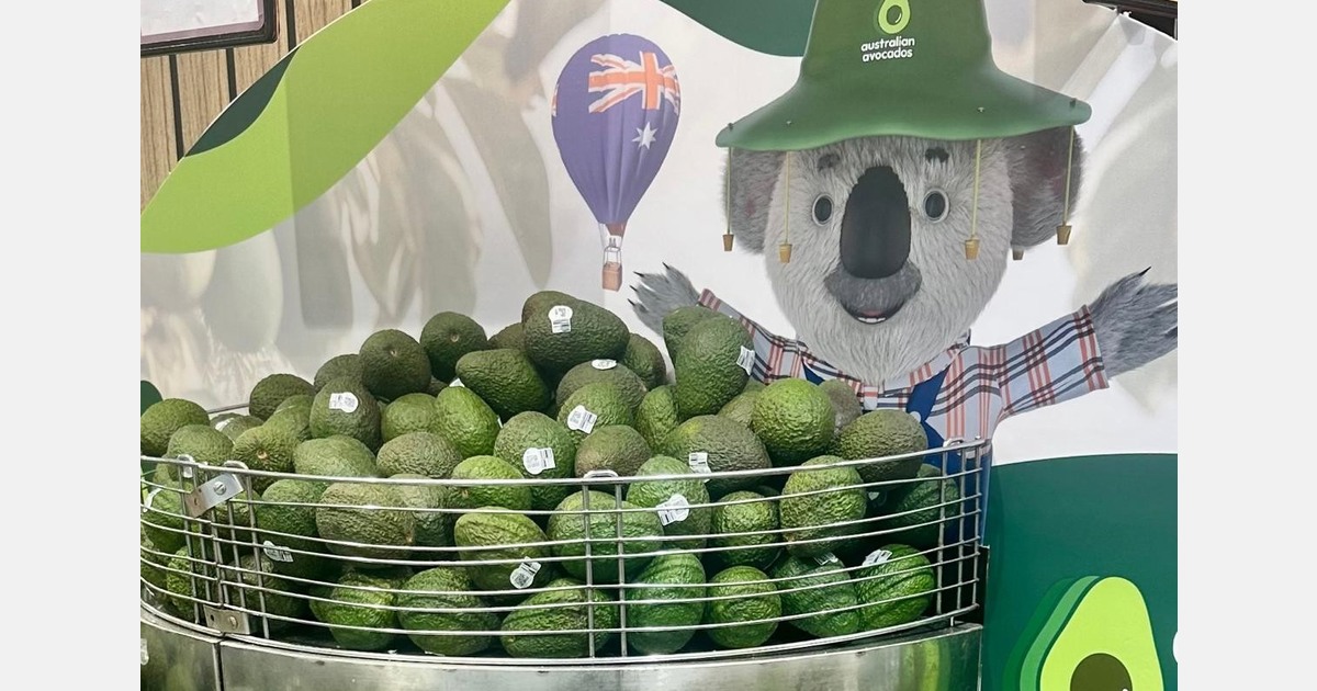 "The industry plans to leverage the increased supply to boost usage of avocados"
