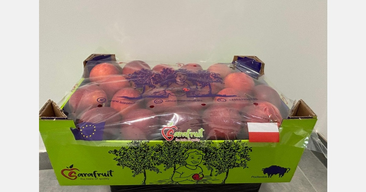 "The overall competition for apples in Egypt is very aggressive at the moment"