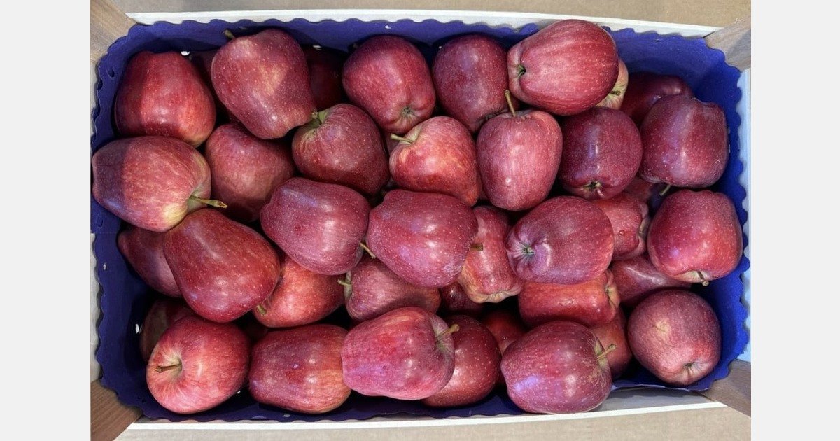 “Italy has become a key origin for red apples in India this season.”