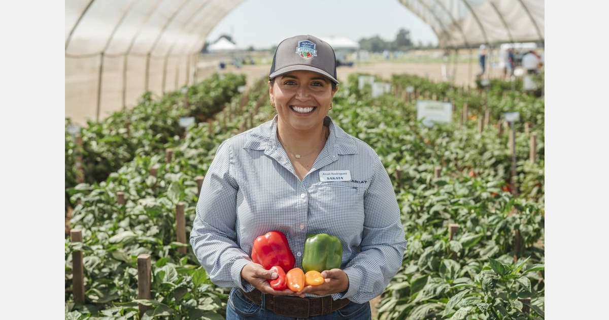 North America’s most popular sweet pepper varieties from a grower and consumer perspective