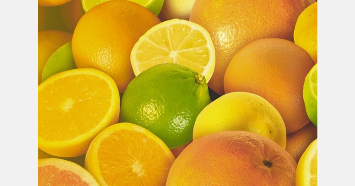 WCO forecasts 1.51% drop in Northern Hemisphere citrus output