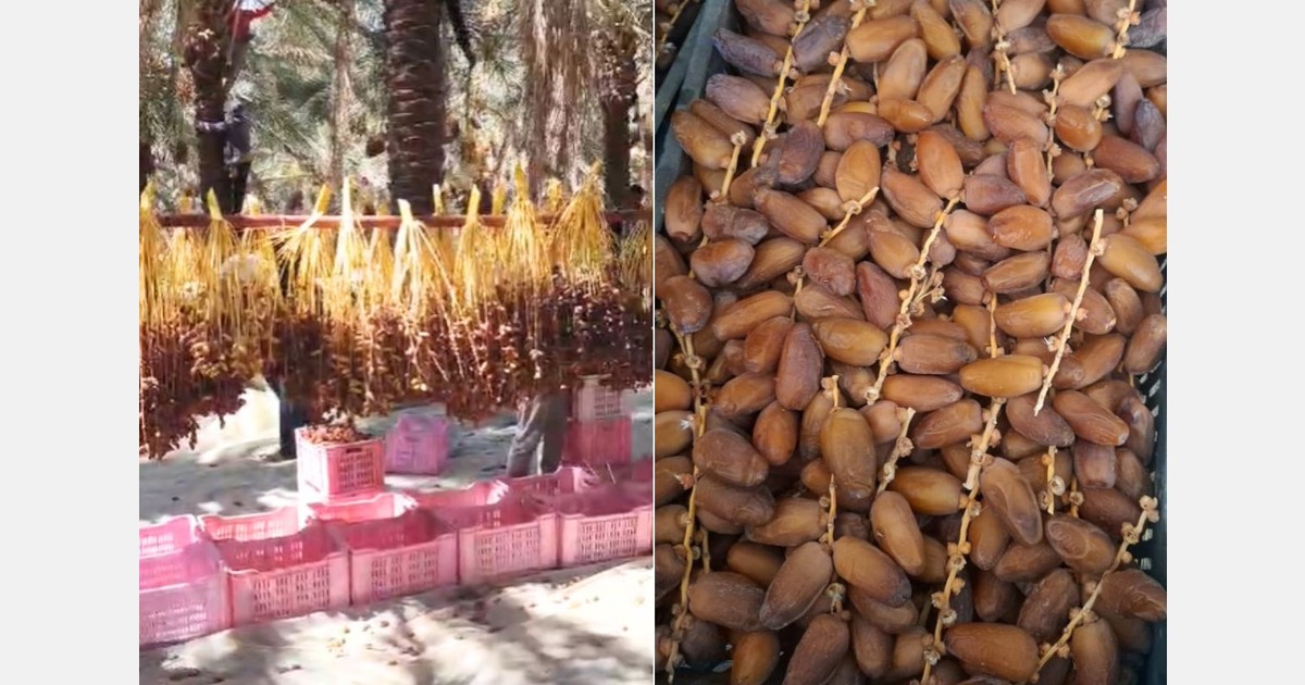 "We have raised our prices because we cannot fulfill all orders"