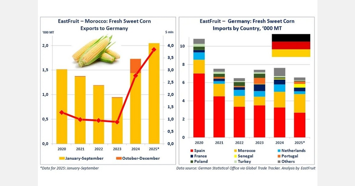 Morocco expands fresh sweet corn exports to Germany