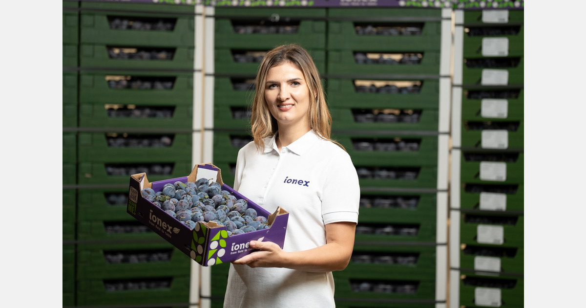 “This season we have 2,500 tonnes of Moldova grapes for the European market”