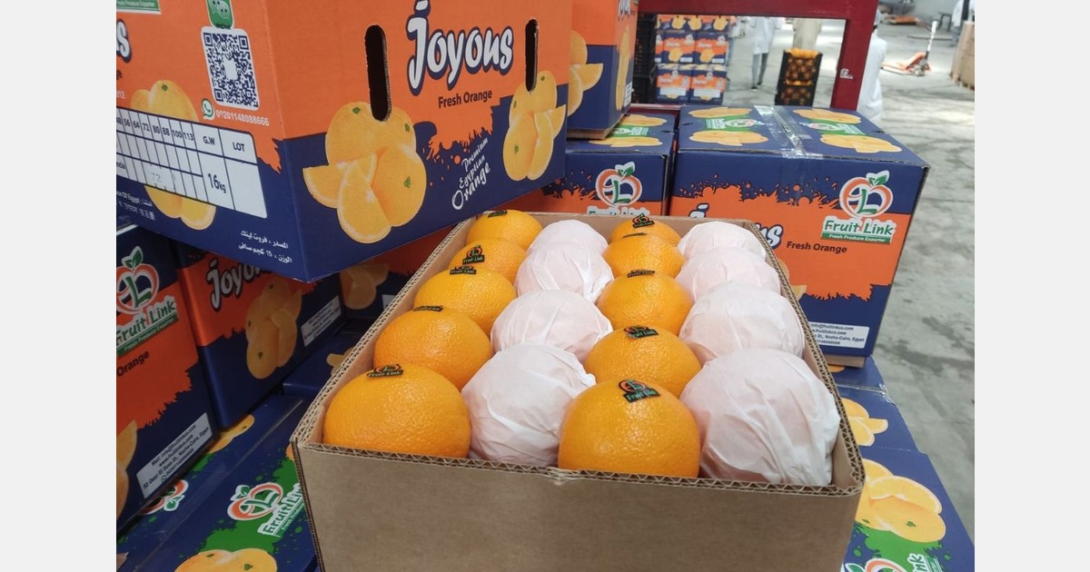 The orange season delay in Egypt "sacrifices immediate opportunities for greater stability "