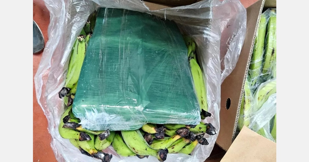 Spain seizes over 2 tons of cocaine hidden in banana containers