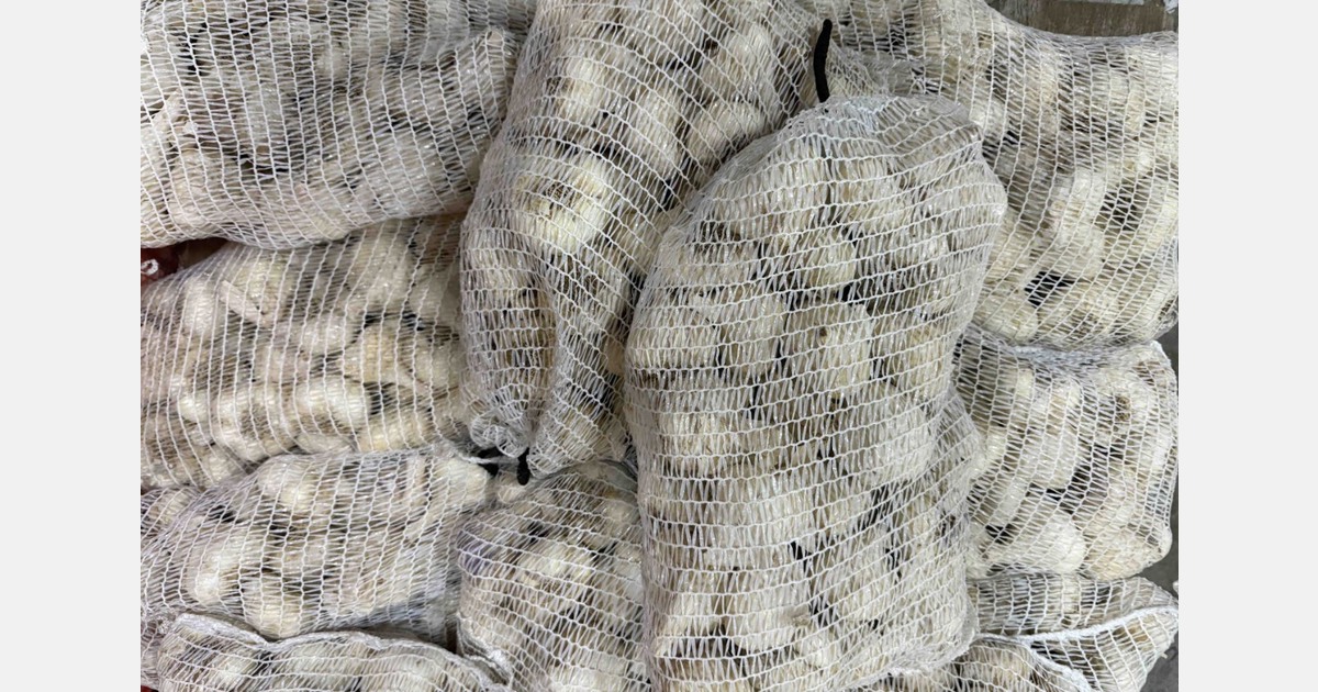 “Dull market for garlic and onions, regardless of origin”