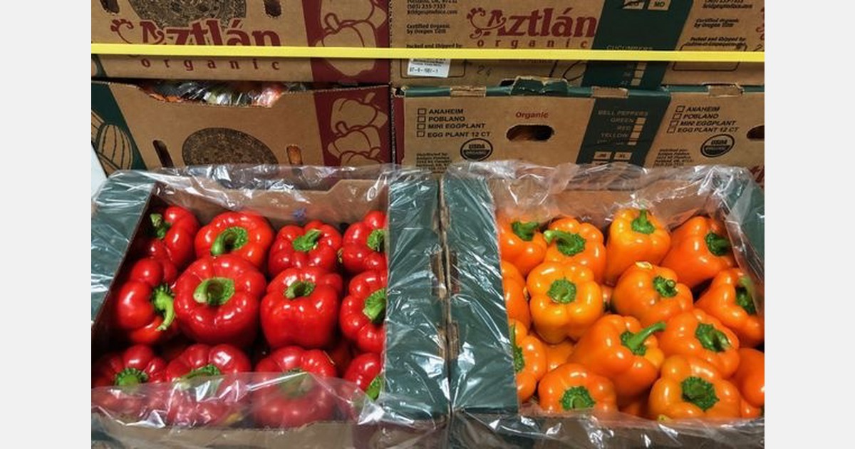 Mexican vegetables are in transition and supply is a story of two tales