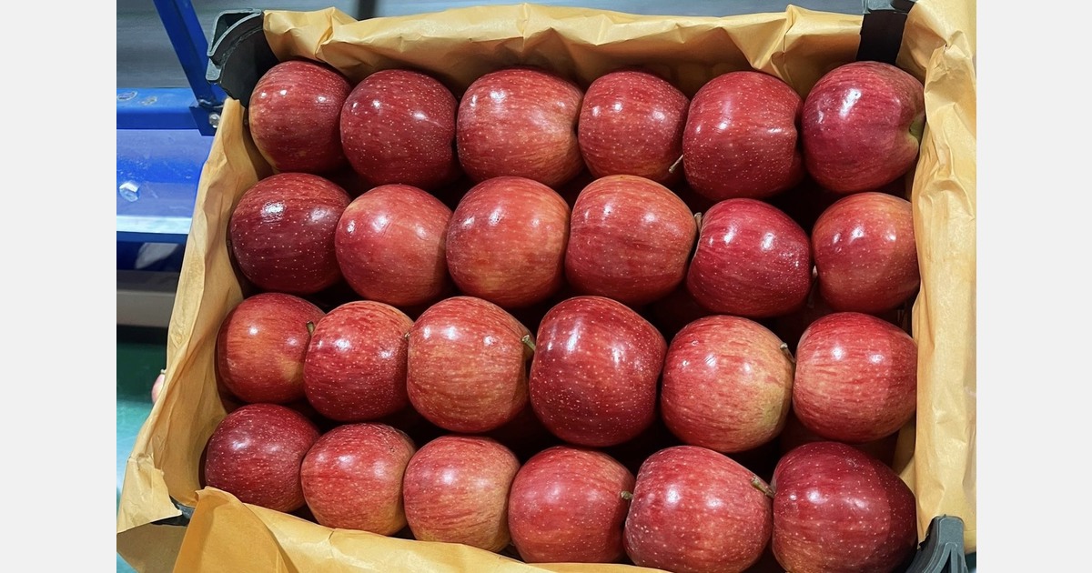 ​​"Iranian apples are difficult to trade in at the moment"