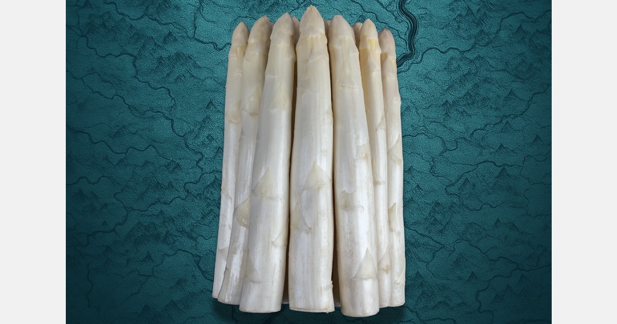 New Ruralim asparagus variety launched for growers