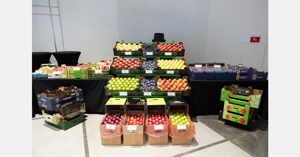 Moldovan producers' solutions for modern orchards and access to foreign markets