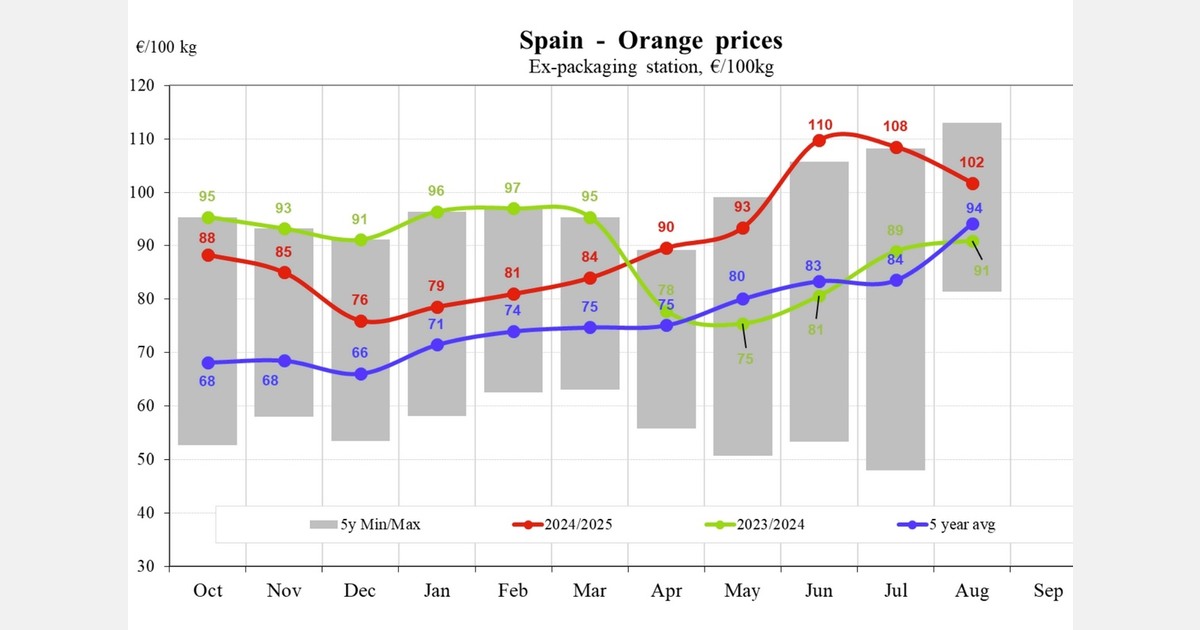 Spain orange price drops to €81/100 kg in October