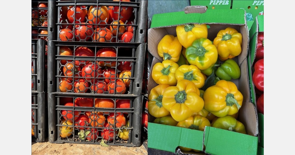 Jordan reviews costs in tomato and lemon supply chain