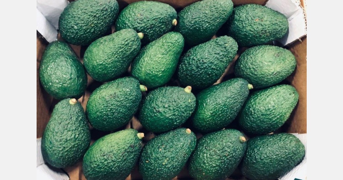 "The market is returning to a more normal price level"