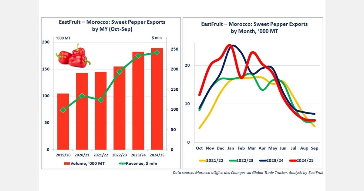 Morocco extends sweet pepper export growth