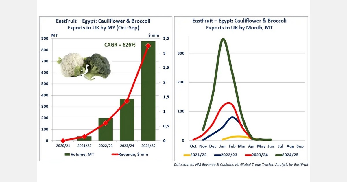 Egypt cauliflower and broccoli exports to the U.K. increase to 879 tons