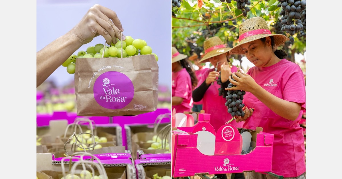 Higher production for Portuguese grapes