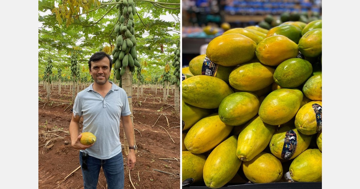 “Retailers are increasingly displaying papayas with color, boosting consumption”