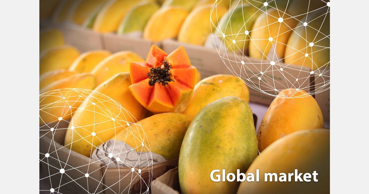 GLOBAL MARKET OVERVIEW PAPAYA