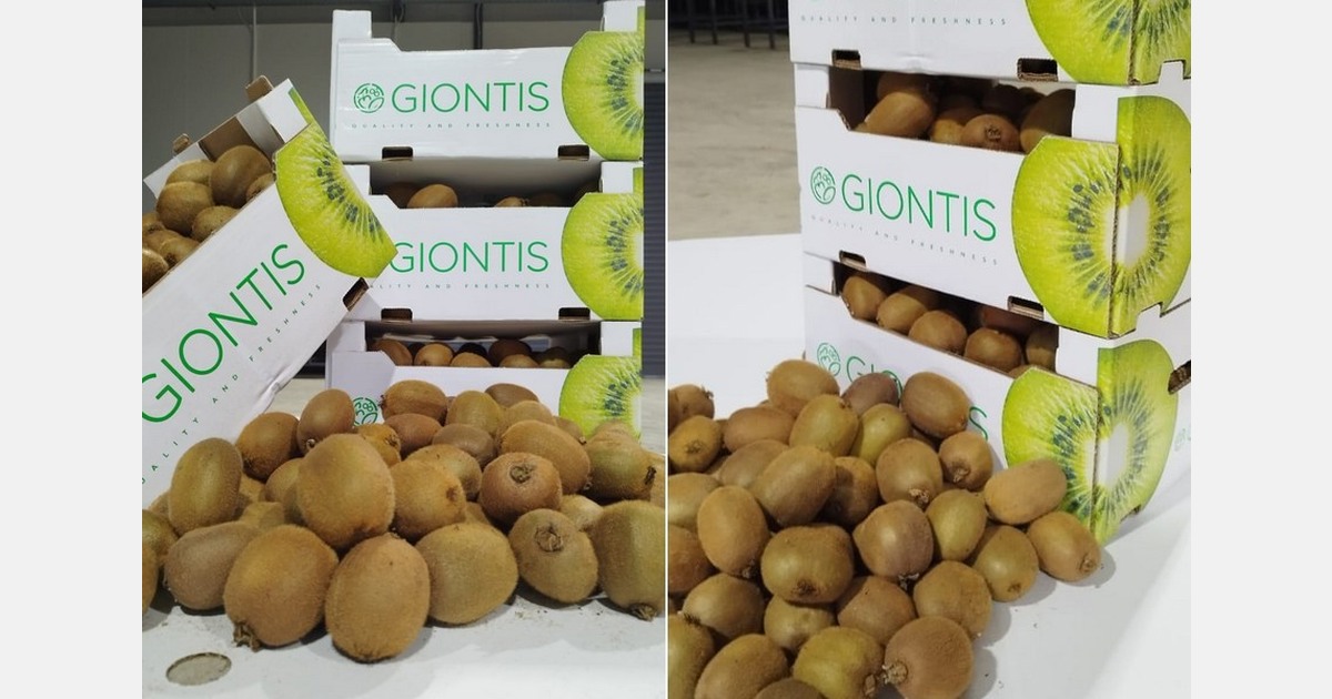 Expansion of Greek kiwi acreage offset impact of spring frosts