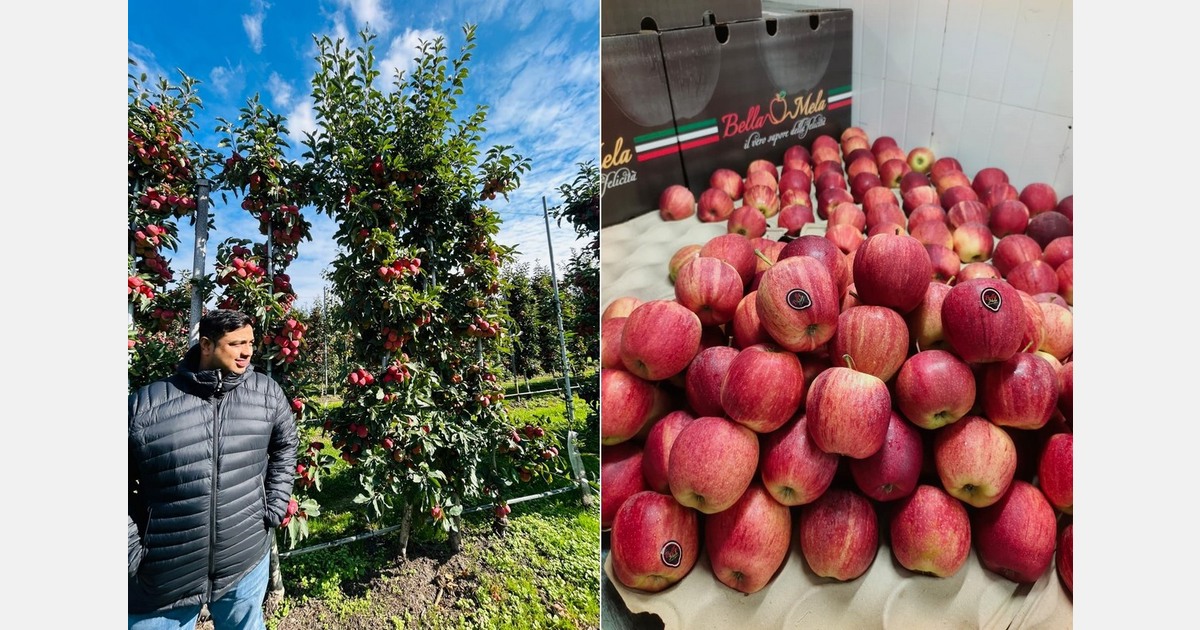 "The impact of the shortage of Turkish apples this season is quite significant"