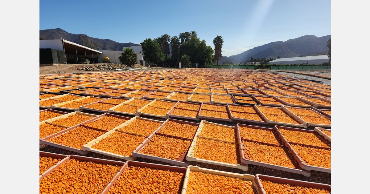 Growing demand for South African dried fruit