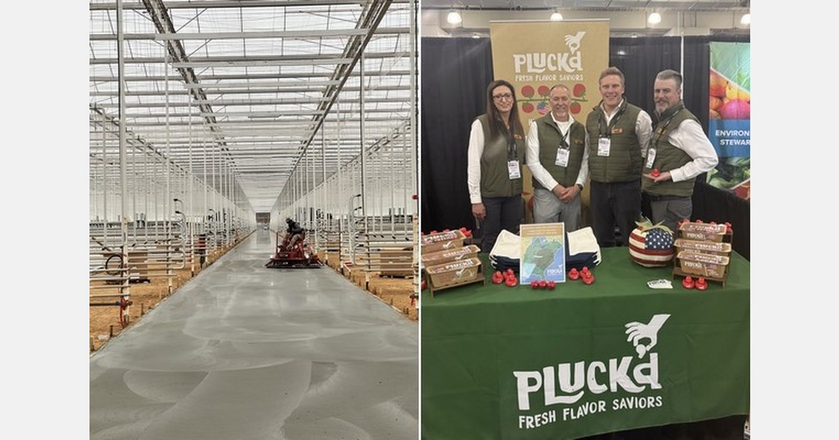 U.S. tomato growers rise to opportunity