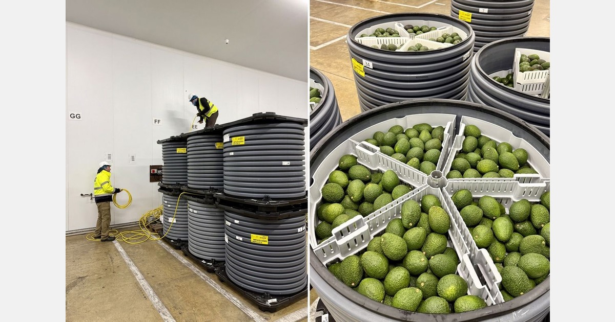Extending shelf-life of blueberries and avocados by storing and shipping under low pressure
