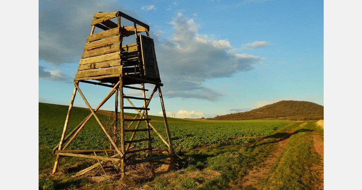 Vietnam chilli prices spark watchtowers in Thanh Hoa