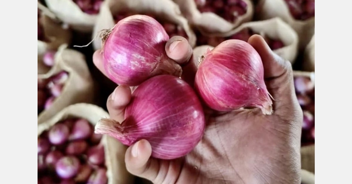 “Bangladesh is back as a major buyer of Indian onions”