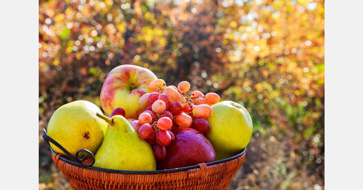German fruit imports from Moldova have increased by over 50 percent in last 5 years