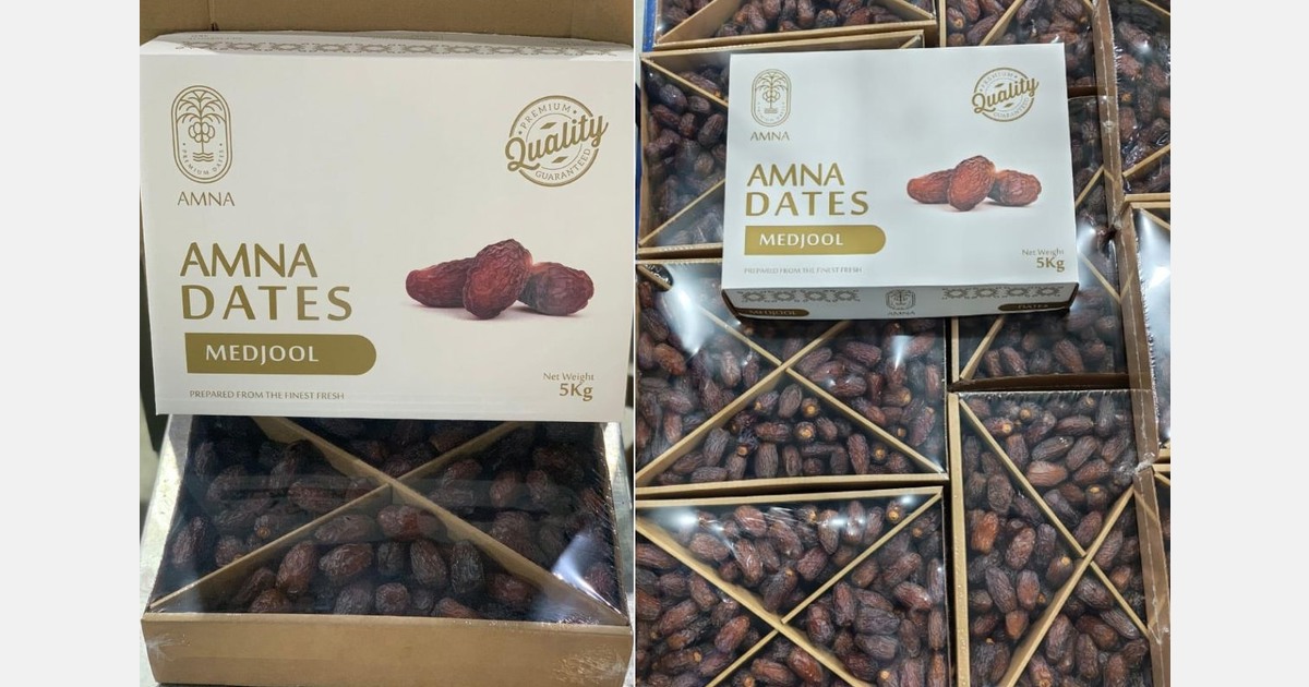 Better prices for large Egyptian Medjool dates this season