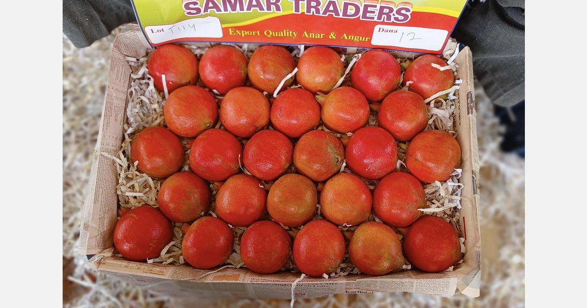 “Climate pressure is making India's residue-free pomegranate programmes for Europe harder”